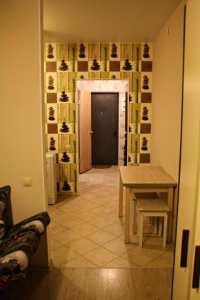 Apartstudio na Naberejnoy Pushkino